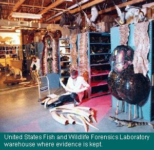 USFW Forensics Laboratory warehouse